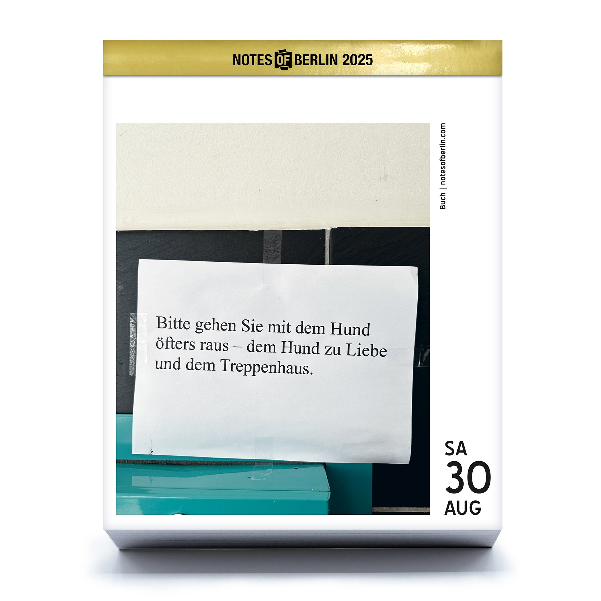 Notes of Berlin 2025