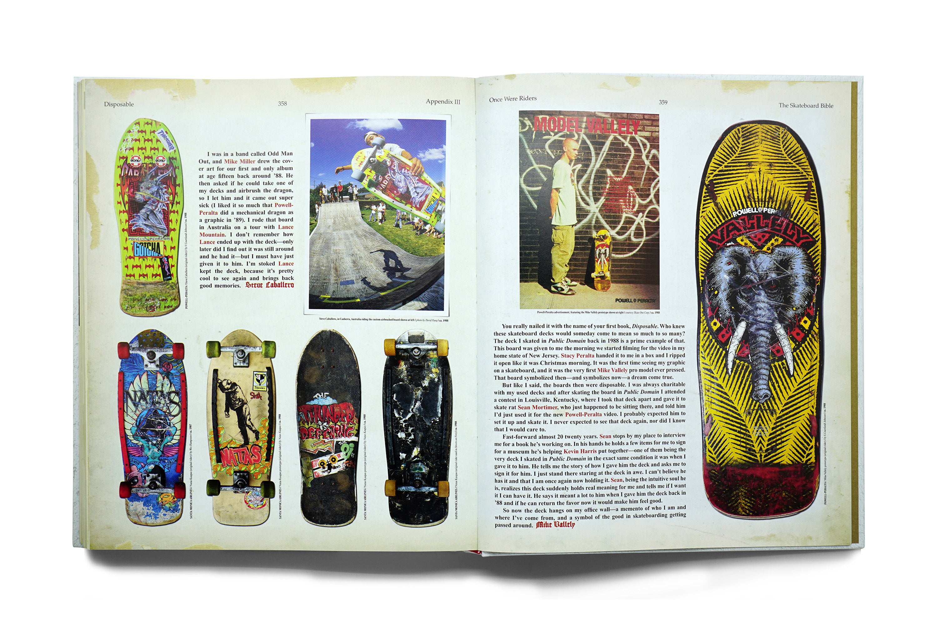 Disposable Skateboard Bible