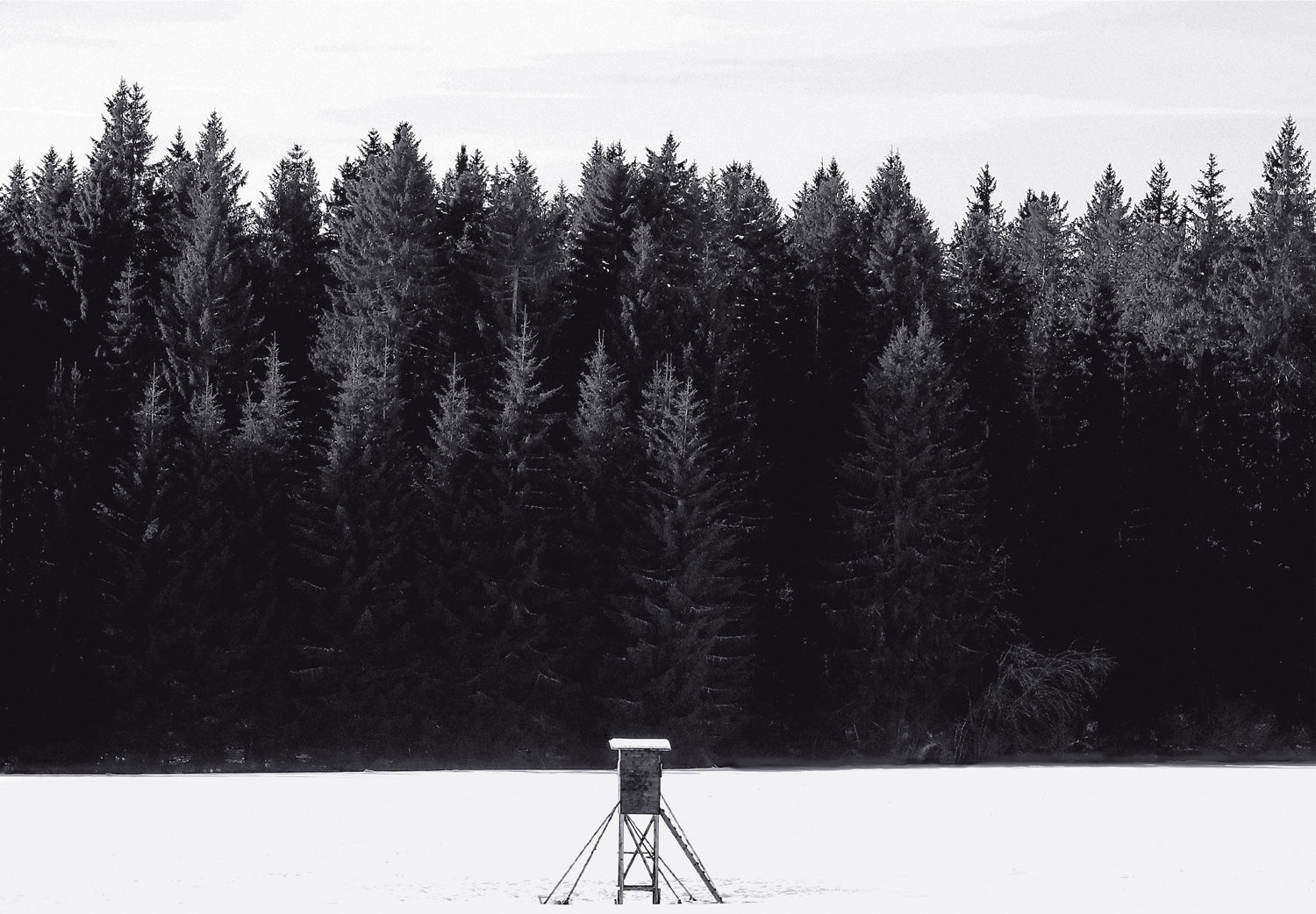 <tc>Schwarz. Wald. Weiß.</tc>