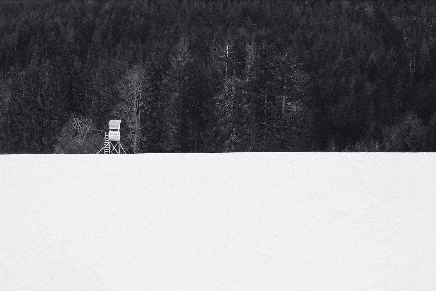 <tc>Schwarz. Wald. Weiß.</tc>
