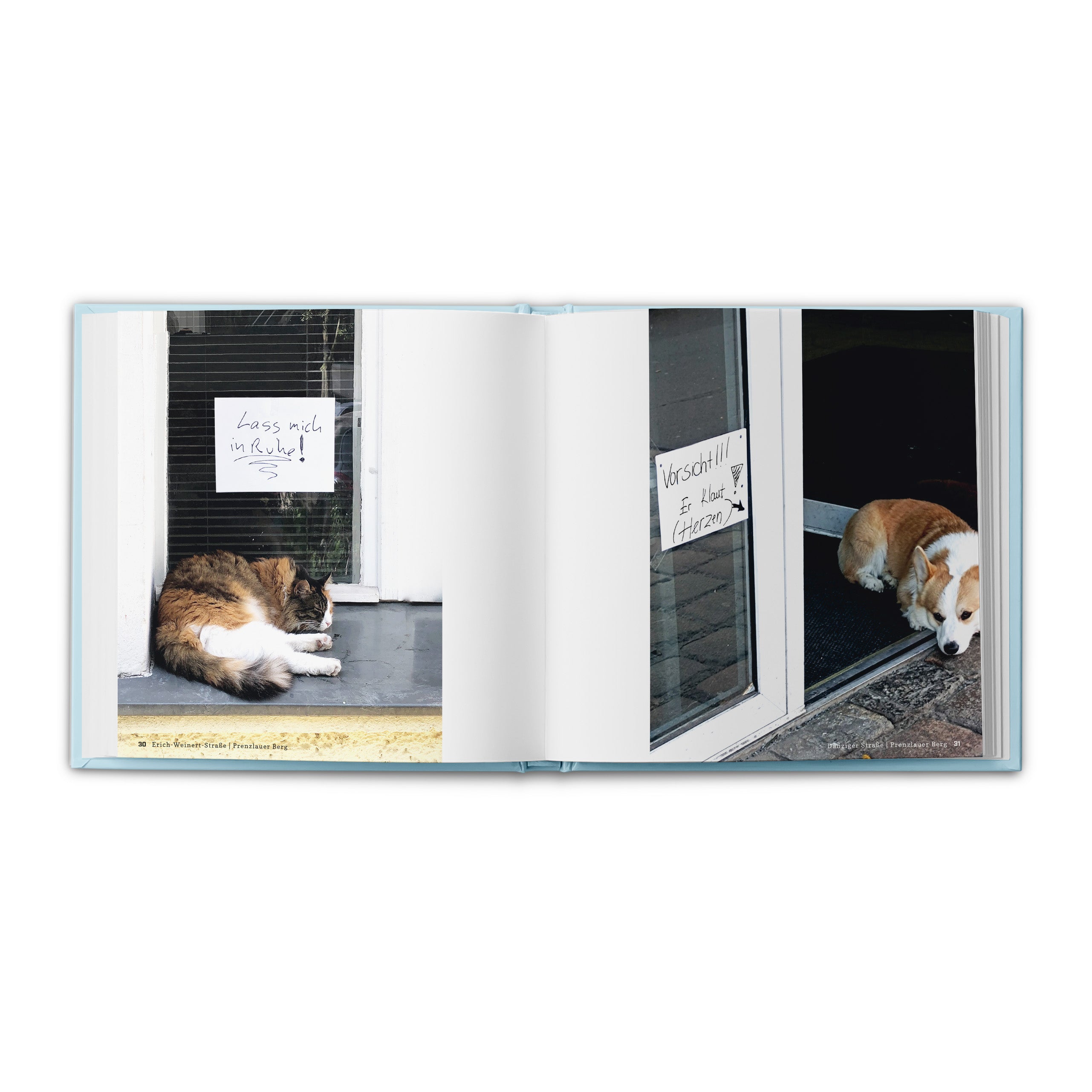 New notes from the urban jungle