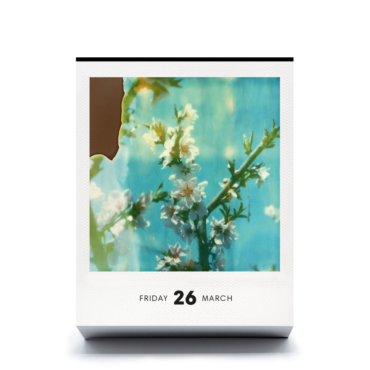 Photodarium 2027