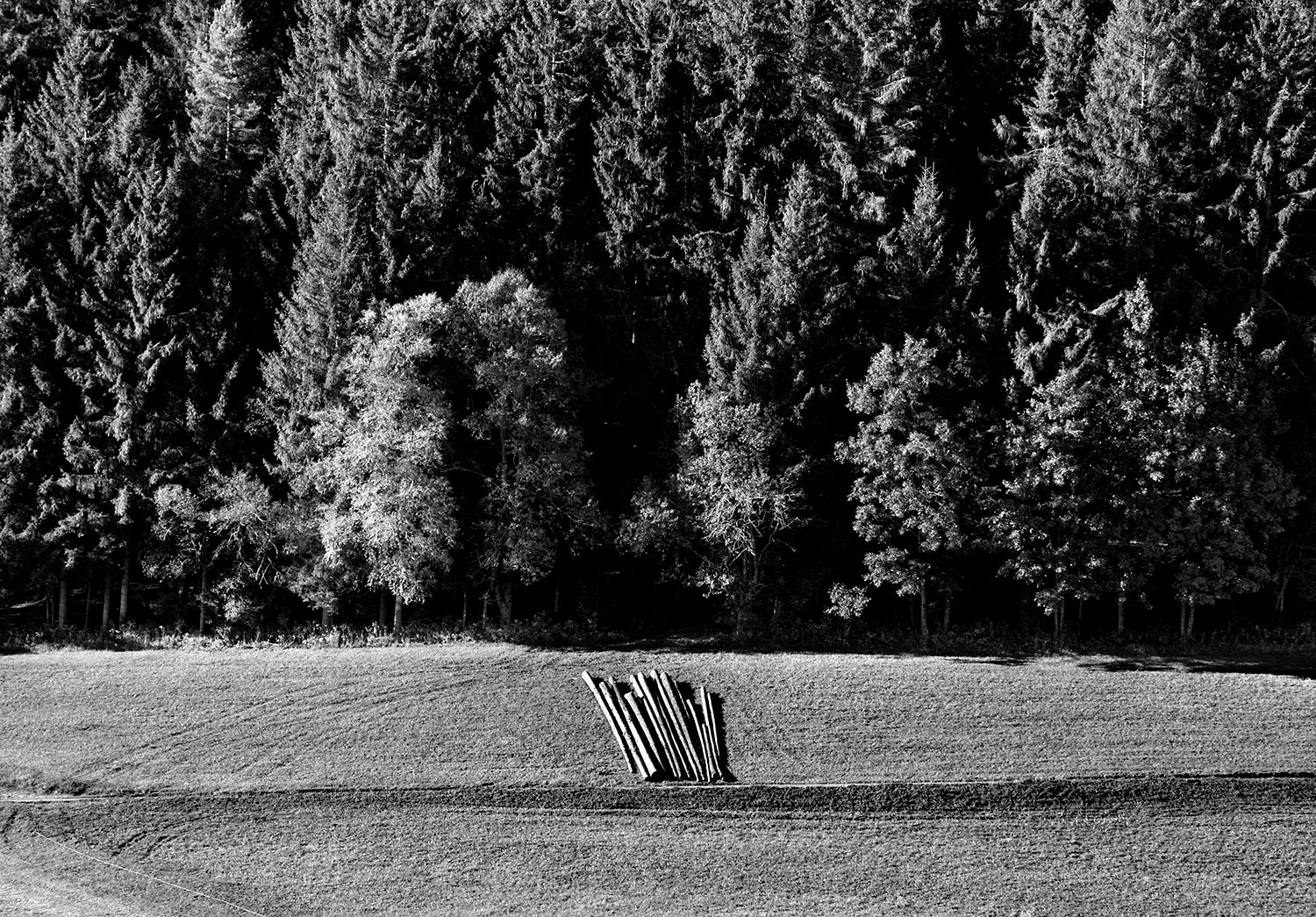 <tc>Schwarz. Wald. Land.</tc>