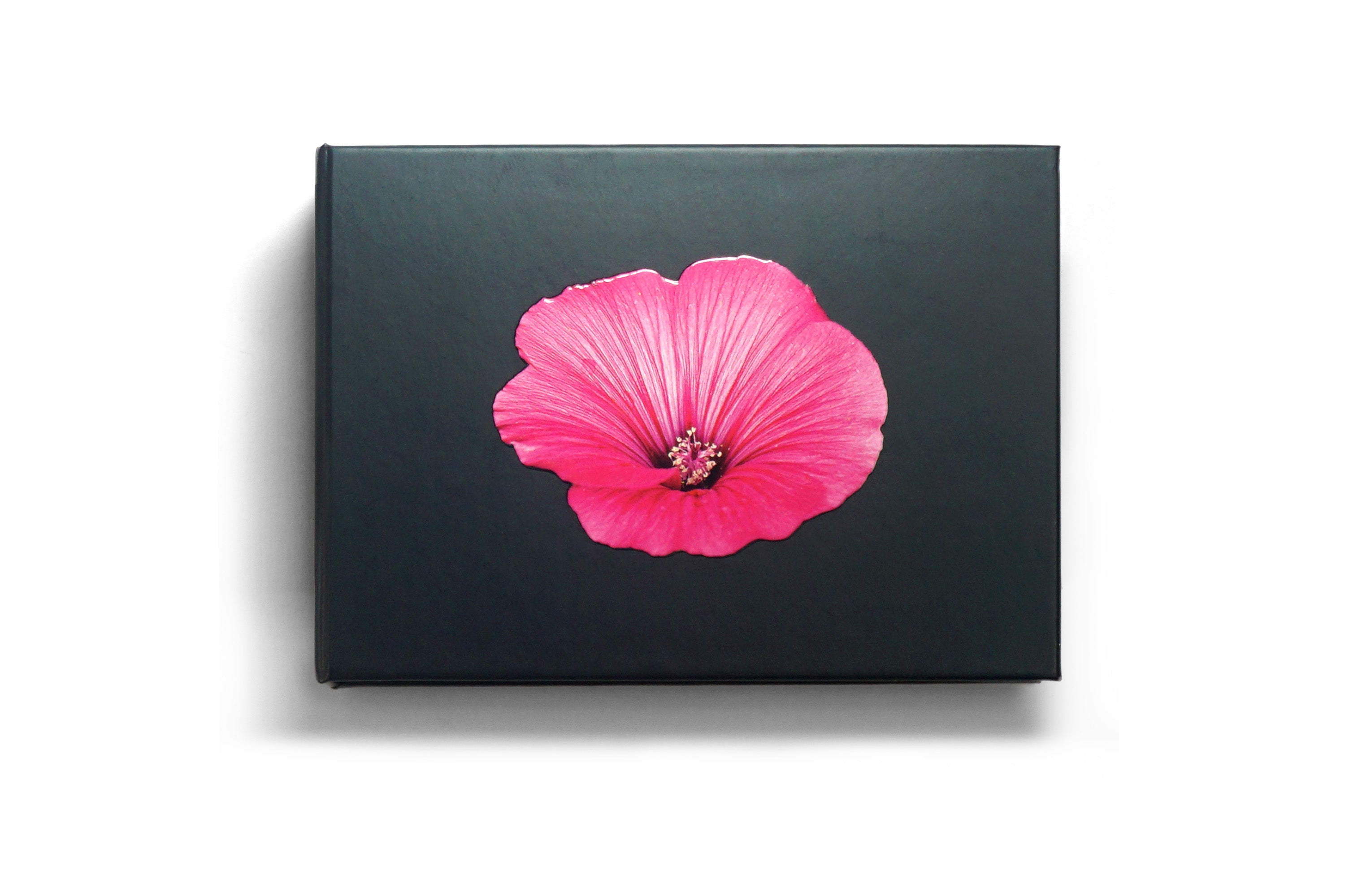 The Blooming Book