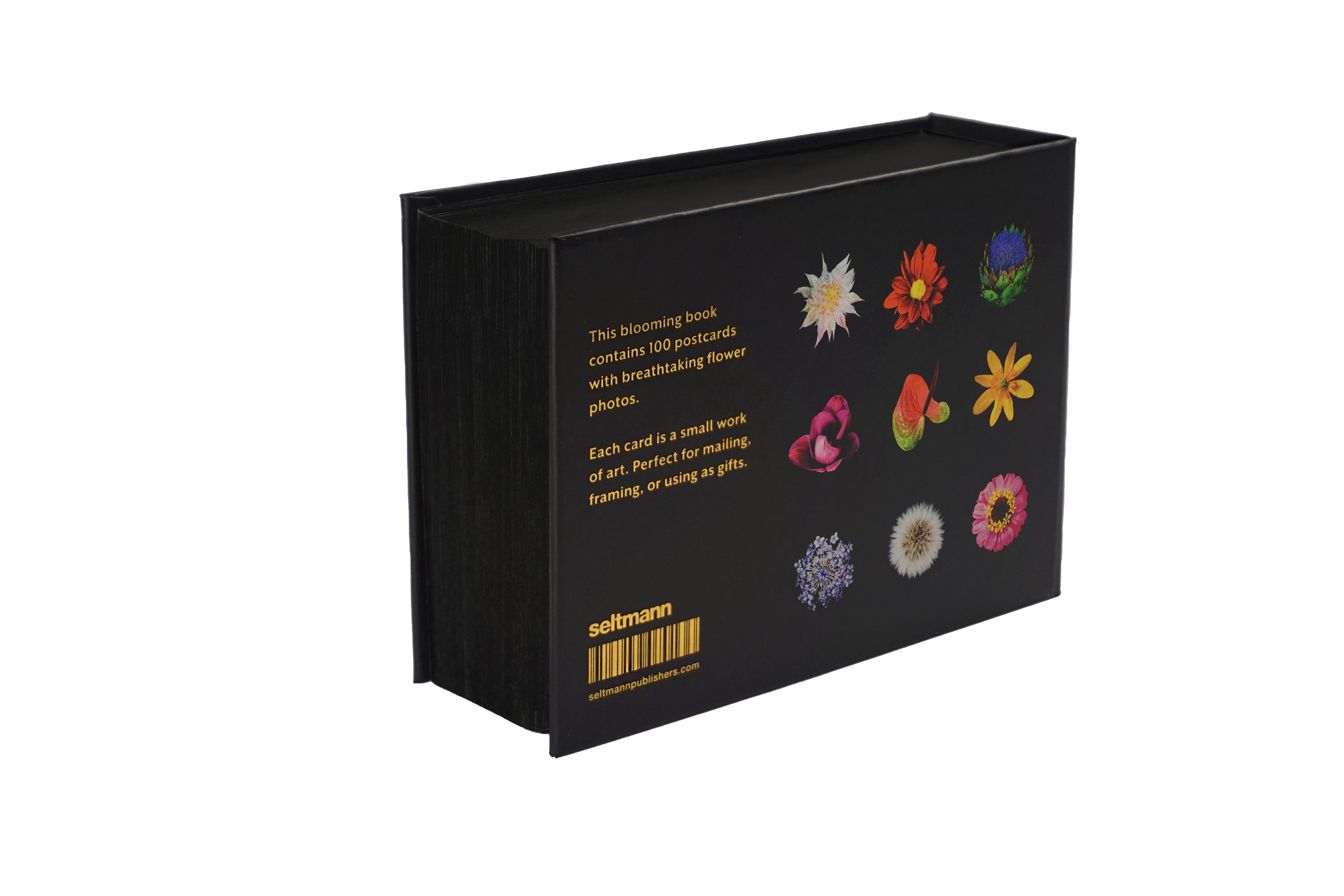 The Blooming Book