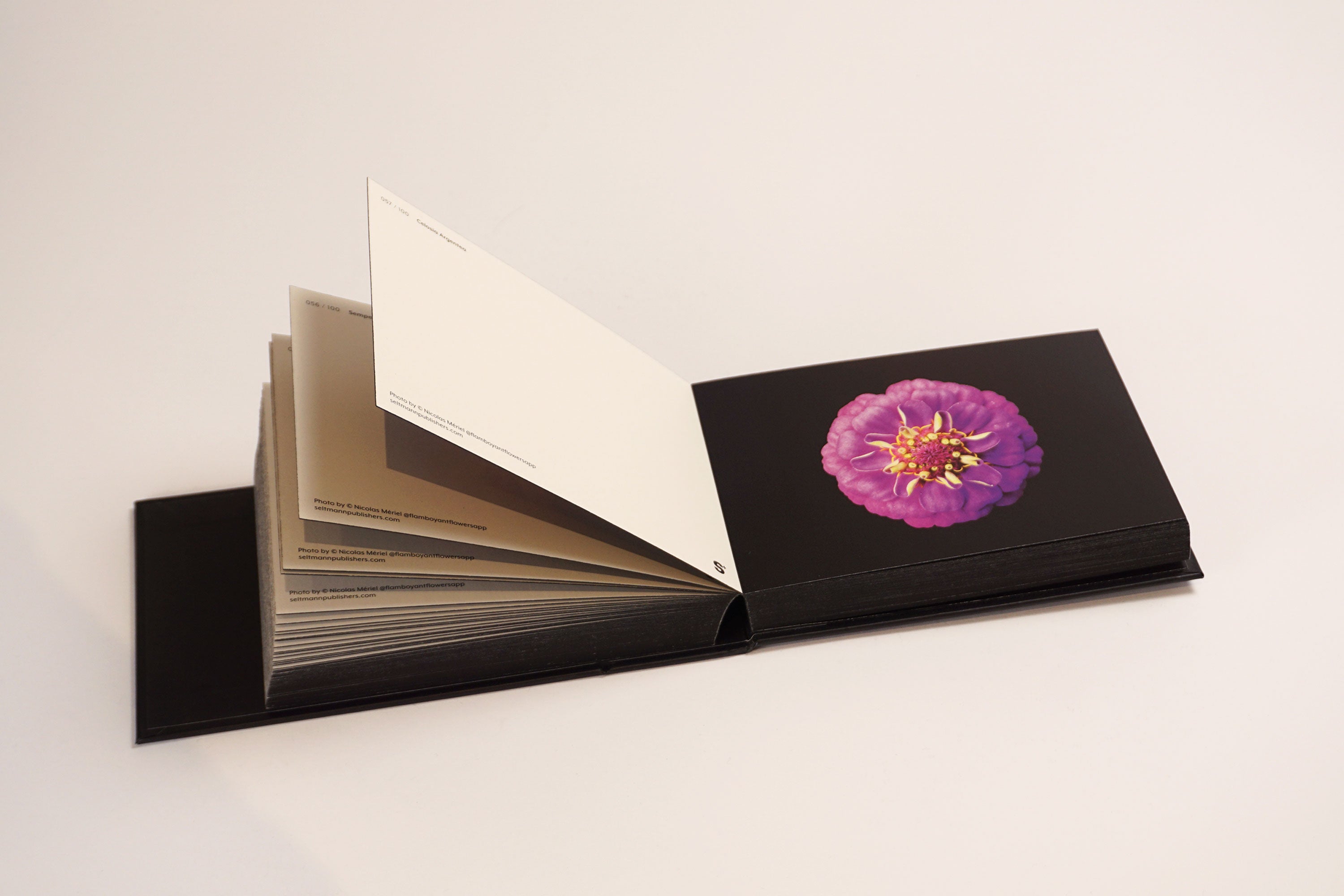 The Blooming Book